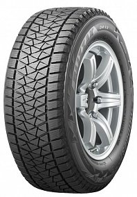 Шина Bridgestone Blizzak DM-V2 255/50 R19 107T